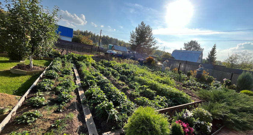 Известны точные даты посева овощей на рассаду - эксперты рассказали, как получить хороший урожай в 2025 году