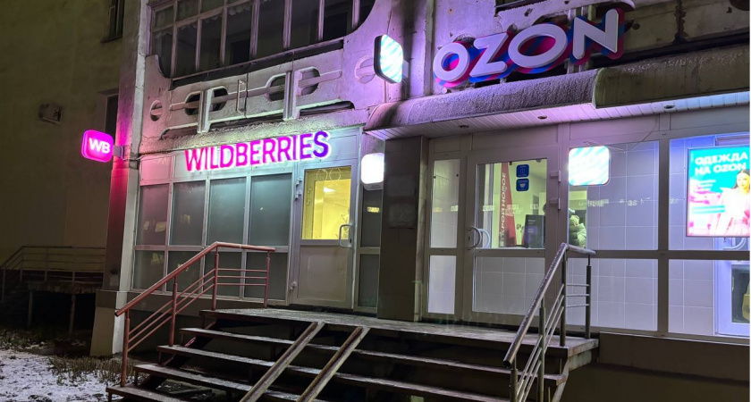 Не вздумайте оплачивать своей картой: Росконтроль предупредил всех, кто покупает на Wildberries и Ozon