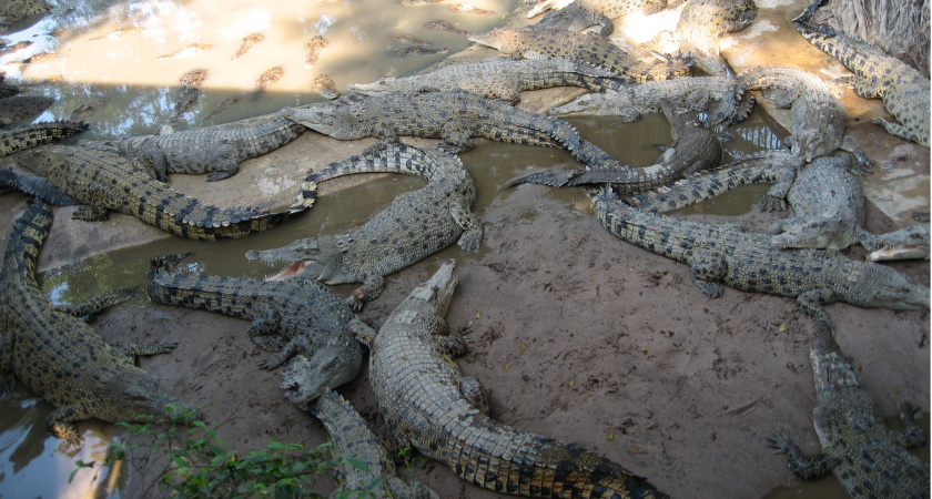 Там ждет не отдых, а помойка: 4 курорта, где море и песок утопают в грязи - туристы сбегают в тот же день