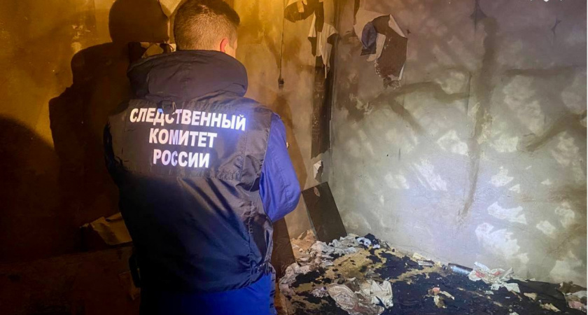 Следователи назвали причину смертельного пожара в Сосновке