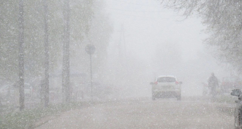 Урожай загнется из-за погодной катастрофы: чем грозит аномальная зима 2025 года