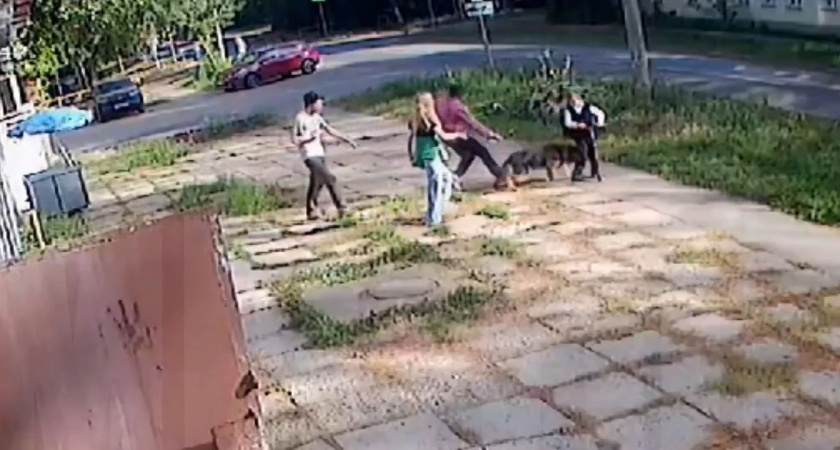 200 тысяч рублей получит кировский школьник, госпитализированный после укуса пса