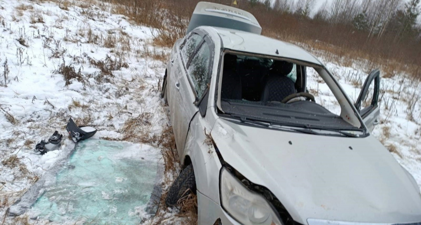 В Кировской области лоси спровоцировали 11 ДТП за месяц, есть пострадавший