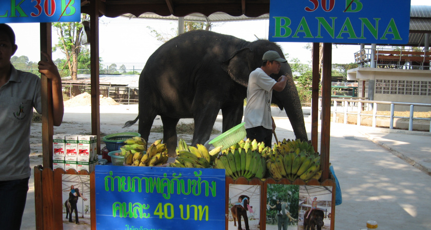 Не суйтесь даже в туристический сезон: 5 курортов, где ненавидят русских и всячески стараются им навредить