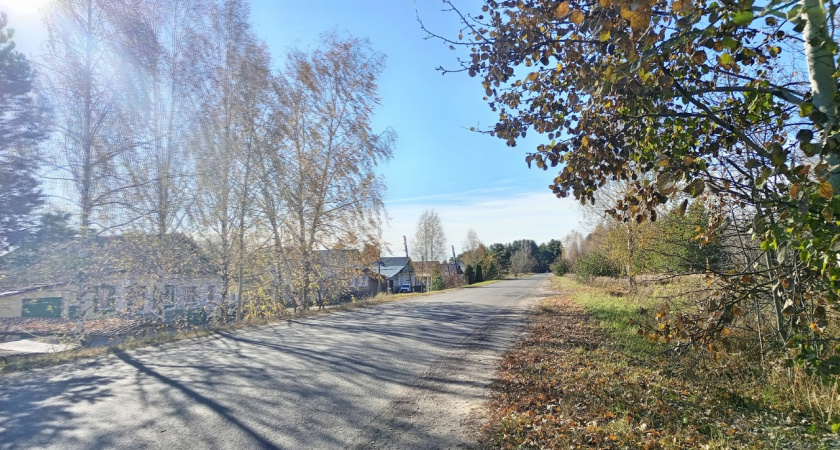 Аномальная жара придет уже в начале марта: настоящая весна нагрянет раньше