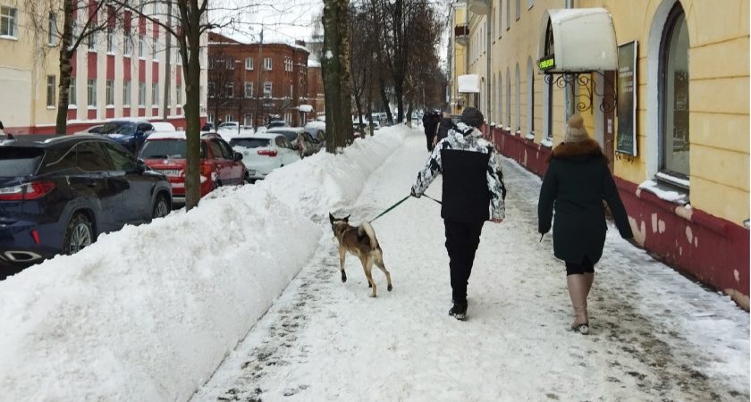 Теперь будет запрещено: владельцев квартир предостерегли о новом правиле