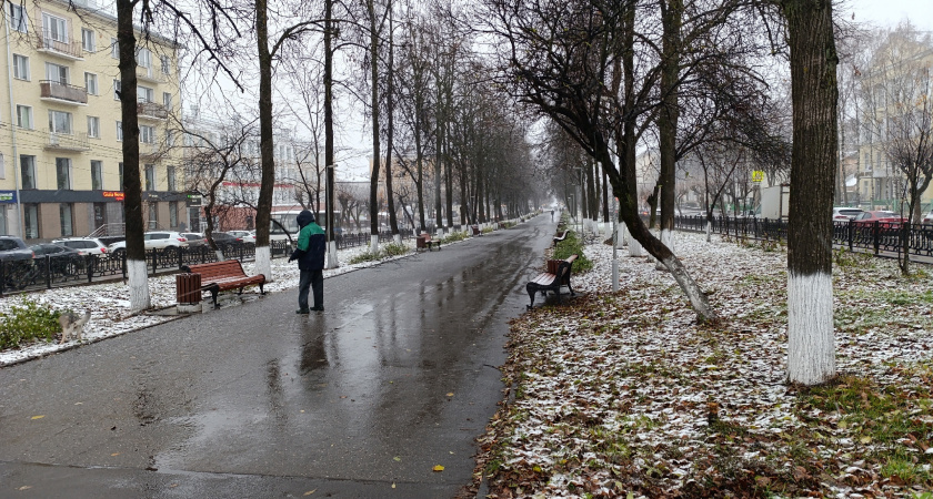 Март будет теплым, а май холодным. Обнародован прогноз погоды на весну 2025 года