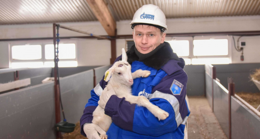 В поселке Кумены Кировской области газифицирован животноводческий комплекс