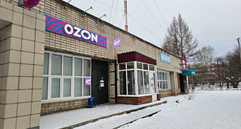 "Мы прекращаем работу c 15 марта": Wildberries и Ozon приняли неожиданное решение для всех россиян