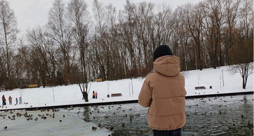 Школьники и родители схватились за головы: Министерство образования обнародовало новое расписание каникул