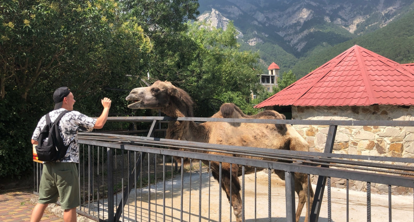 Российские курорты, на которые лучше не соваться летом 2025: там не любят туристов