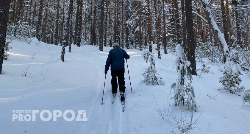 Дерево упало на мужчину в Омутнинском районе