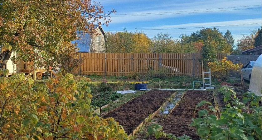 Лишатся земли: владельцев участков и дач ждет новое правило с апреля