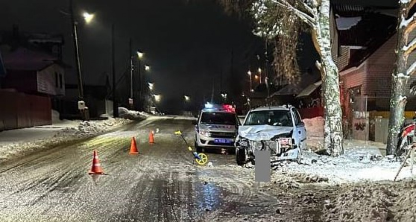 Фото к статье: Под Кировом автоледи въехала в припаркованную машину и дерево: пострадал ребенок