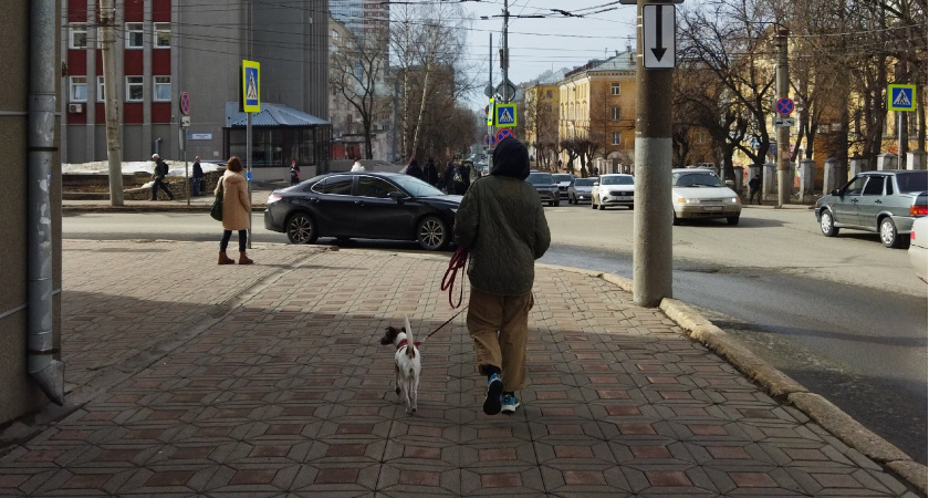 "Жить одни не будут": собственникам жилья грозит законное подселение незнакомцев в квартиру