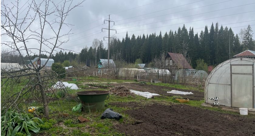 В Слободском районе прокуратура вернула доступ к реке Никулинка через судебные разбирательства