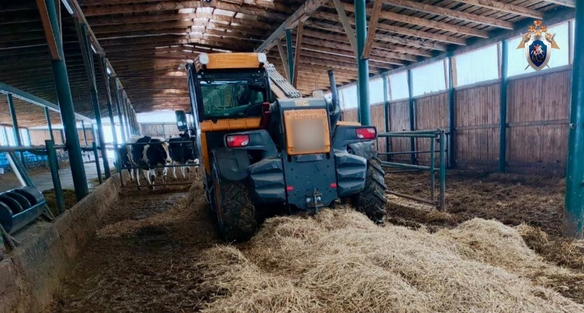 В Кировской области на территории колхоза найдено тело сторожа