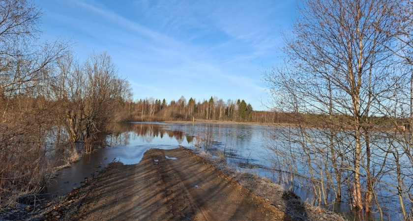 Половодье разорвало связь по 18 мостам в Кировской области: возможны подтопления