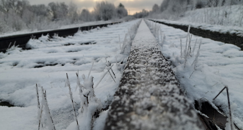 Апрельский снег нагрянул в Кировскую область: фотоподборка
