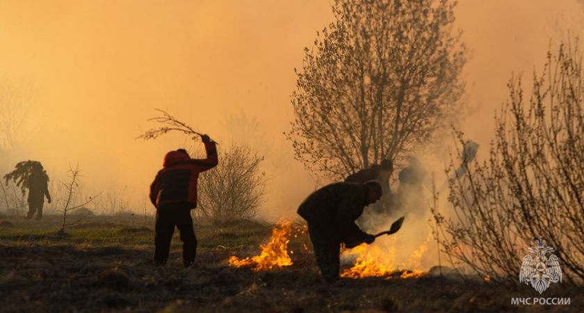 Гектар травы вспыхнул в пригороде Котельнича