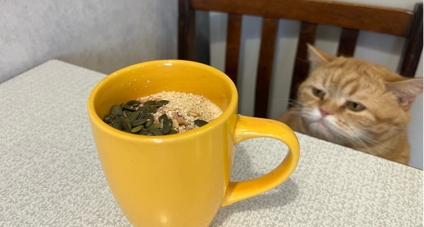 Мясников назвал 3 самых полезных напитка для здоровья: не кефир, не айран и даже не свежевыжатый сок