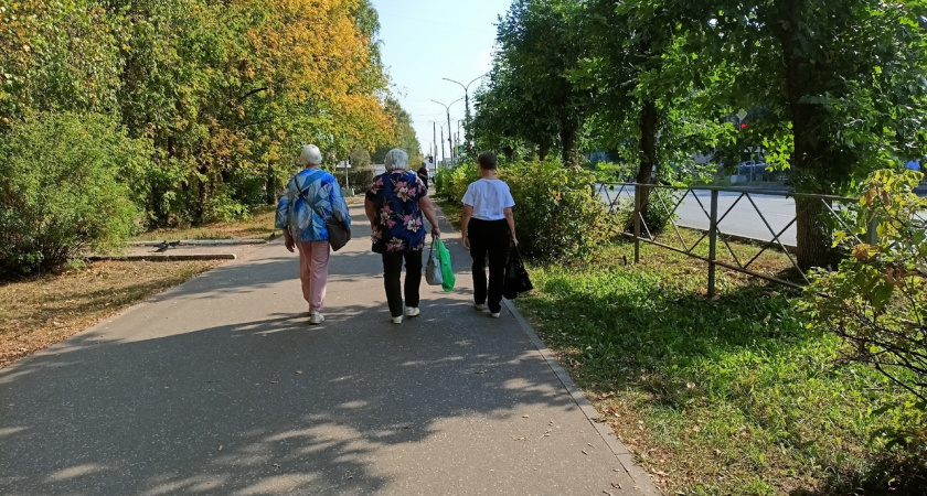 Пенсии поднимутся, указ подписан: назван новый размер выплат для пенсионеров РФ