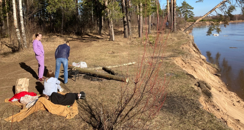 В Кировской области резко выросло число укушенных клещами