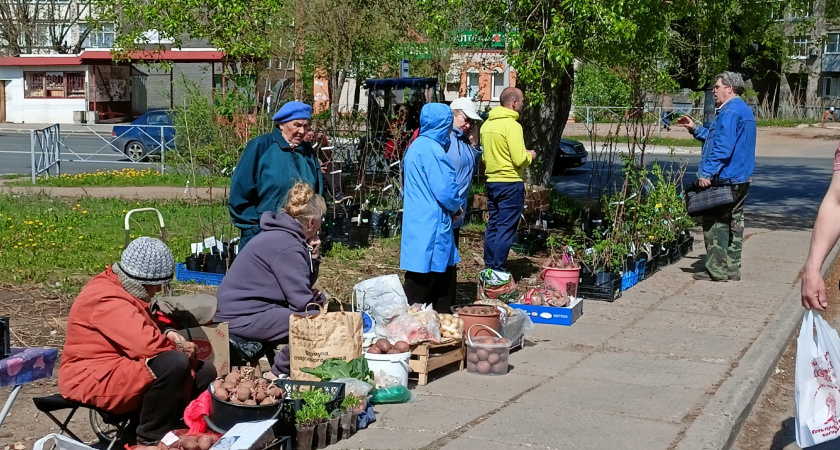 В июне получат сразу две пенсии: пенсионерам объявили о приятном сюрпризе