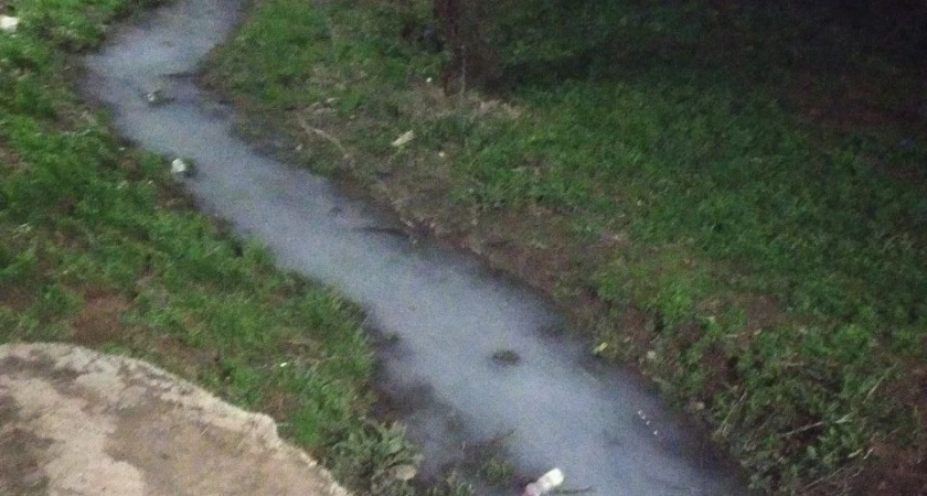 "Вода молочного цвета": в Кирове зафиксирован подозрительный выброс в реку