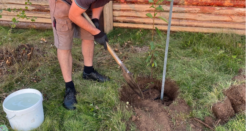 С 10 мая штраф 7000 рублей за удобрения на даче: заставят убрать