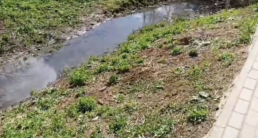 "Мыльный ручей" в Метрограде проверили еще раз: каковы результаты