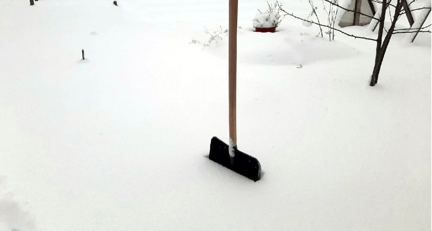 Холода не уйдут: синоптик назвал даты, когда можно высадить рассаду