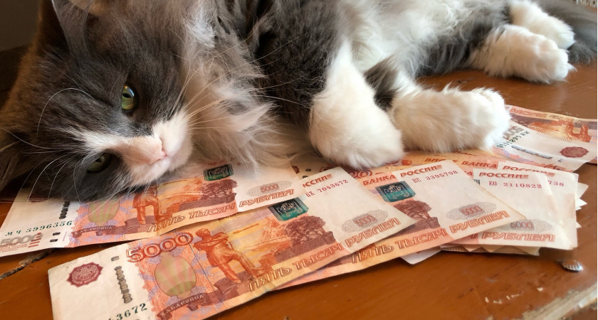 Всех, у кого есть кредит или ипотека, ждет сюрприз - обнуление с 20 мая