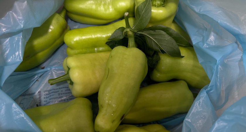 3 ложки в лунку — и перцы полезут без остановки: вырастут большими, сочными и сладкими — до 30 штук с куста