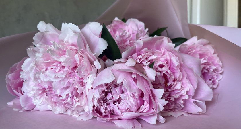 Пионам в период бутонизации - обязательно: 2 ложки в ведро — и зацветут как угорелые