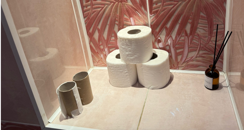 Забудьте о туалетной бумаге: есть замена гораздо эффективнее — в Европе давно используют, а мы только начинаем
