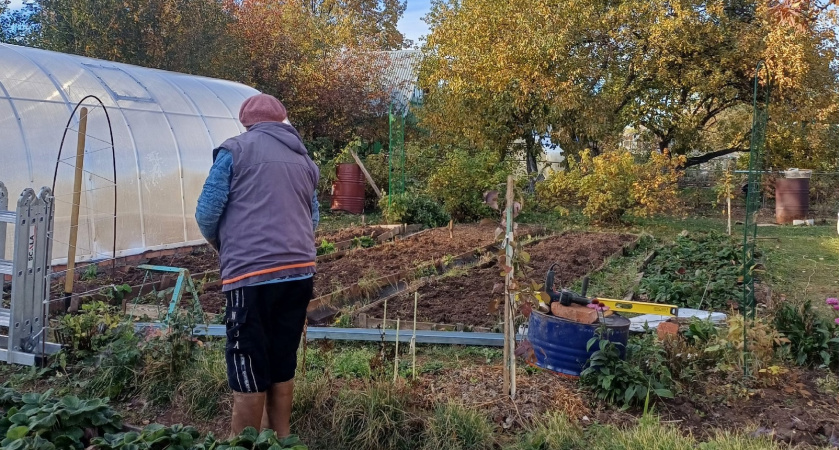 Не солью и не кипятком: пырей и одуванчики уничтожаю по совету опытных агрономов — понадобятся только 2 вещи