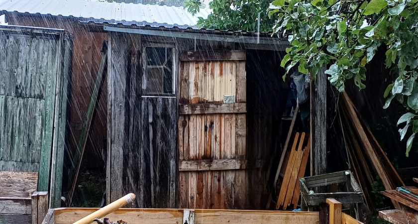 Заливаю рюмку на ночь — к утру выгребная яма чиста: выливаем раз в месяц — и напрочь забываем об откачке на 15 лет