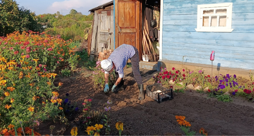 Миска крупы вместо целой тачки навоза: и разбрасываем по всему участку - в мае земля легче и приятнее шелка