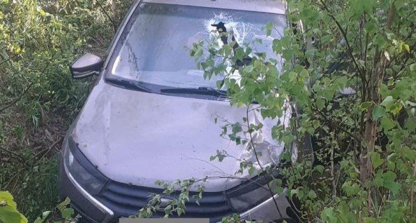Пьяный водитель покалечил пассажира, вылетев с трассы "Вятка" в Арбажском районе
