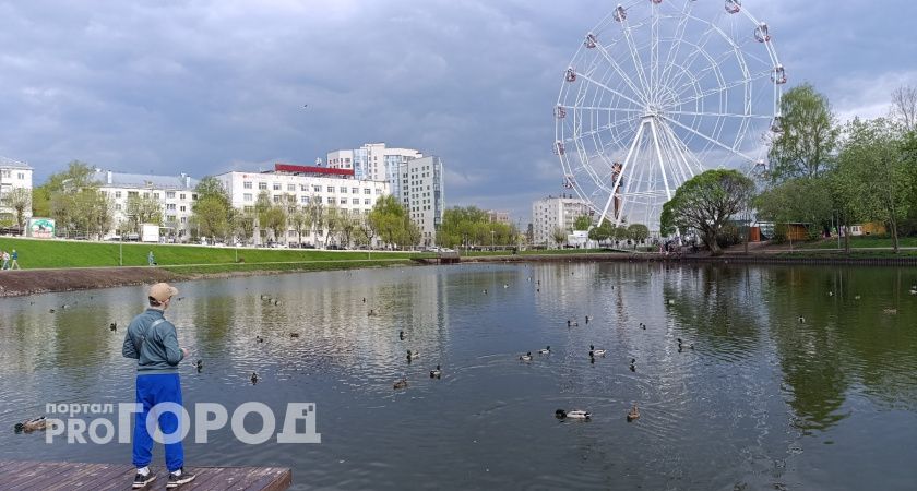 Холод не отступает: в Кировской области ожидаются ночные заморозки до -4°С