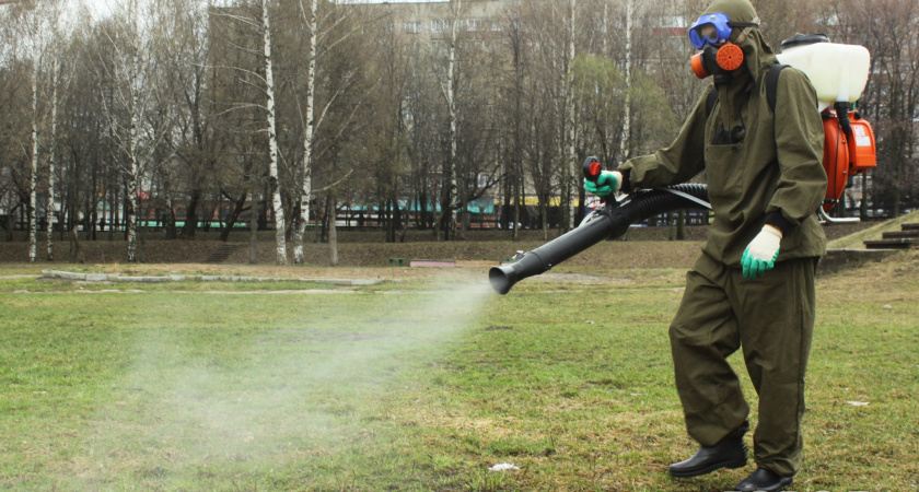 Кировская область выбралась на второе место в России по числу нападений клещей