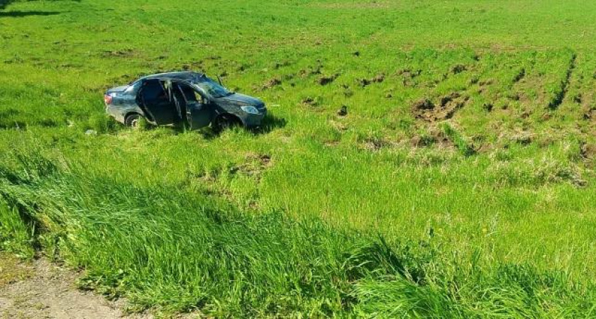 В Малмыжском районе нетрезвая автоледи получила травмы, вылетев в кювет