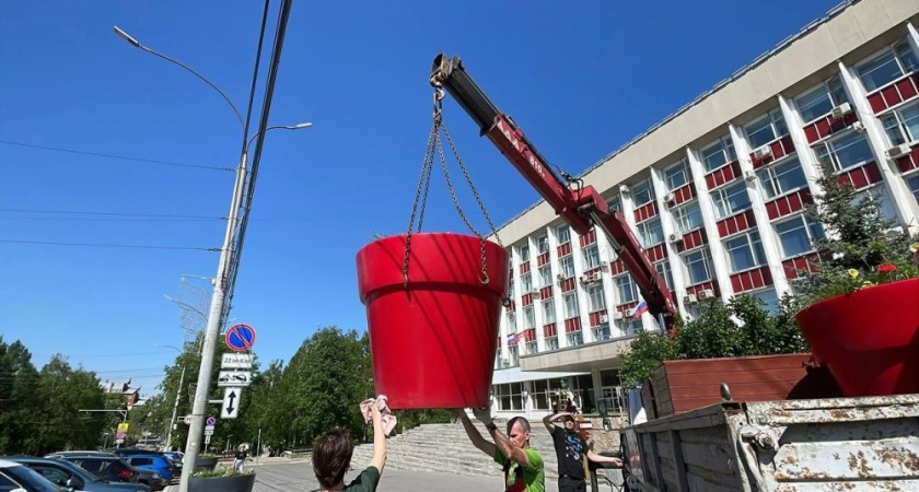 Киров украсят цветами: в городе устанавливают вазоны с цветами и однолетниками