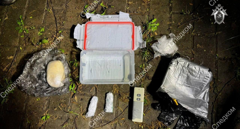 Неонацист родом из Кировской области собирался устроить взрыв на Красной площади