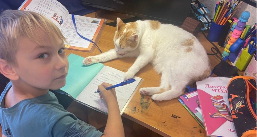 У родителей с этой группой крови рождаются самые талантливые дети: ожидайте от них великих достижений