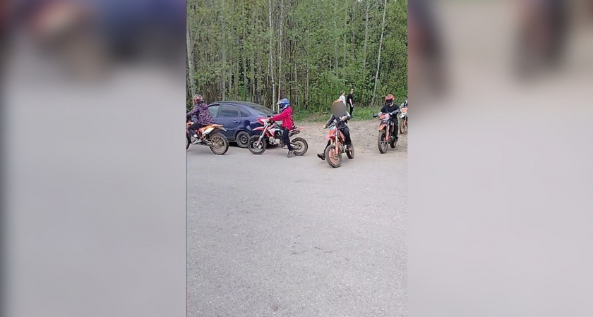 "Дендропарк превратился в гоночную трассу!": кировчане жалуются на катающихся по аллеям парка подростков на питбайках