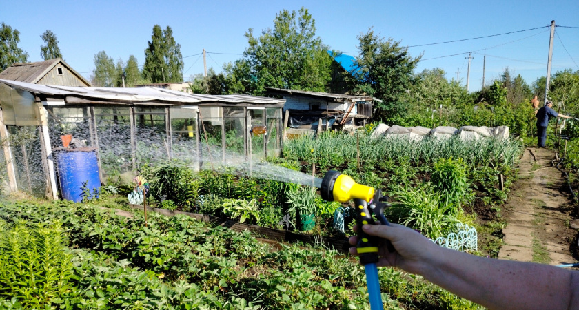 У кировчан начнут отбирать неосвоенные земельные участки