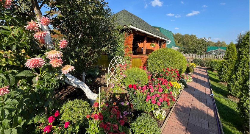 Не забор, а мечта любого дачника: забудьте об ограде из профлиста и досок - есть более красивый способ отгородиться от соседей