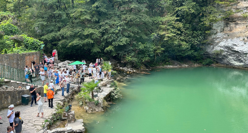 "Ешьте мед, сыр, но никогда не покупайте": туристка оставила честный отзыв об испорченном отдыхе в Абхазии